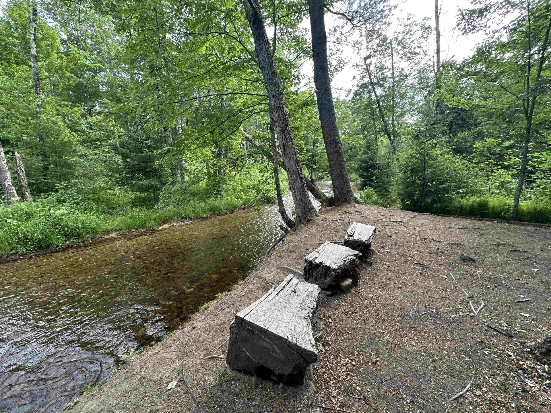 12 Oxbow Lane Conway NH 03813