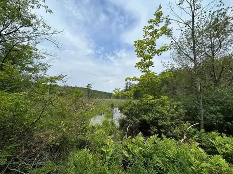 6036 Jacksonville Stage Road Halifax VT 05358