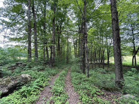 6036 Jacksonville Stage Road Halifax VT 05358