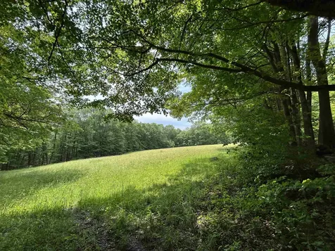 6036 Jacksonville Stage Road Halifax VT 05358