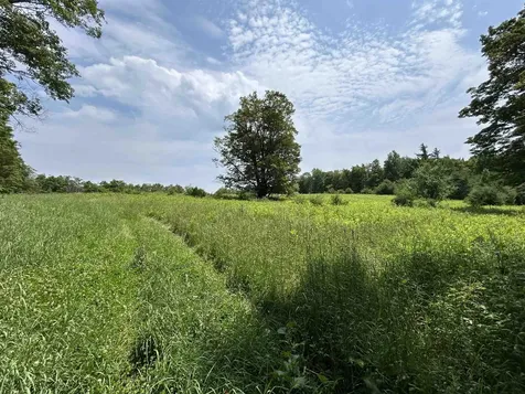 6036 Jacksonville Stage Road Halifax VT 05358