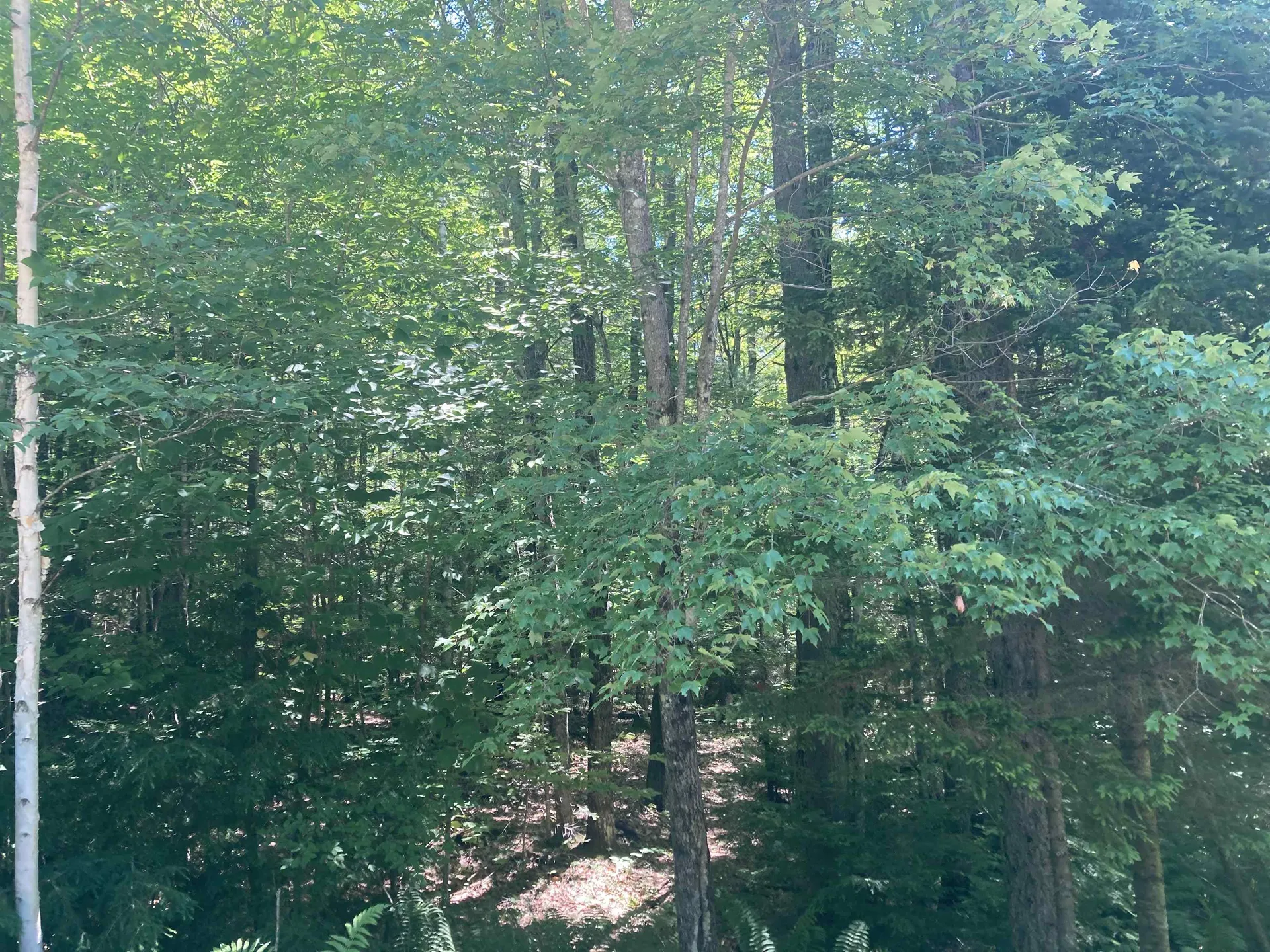 21 Northwood Estates Drive Grafton NH 03741