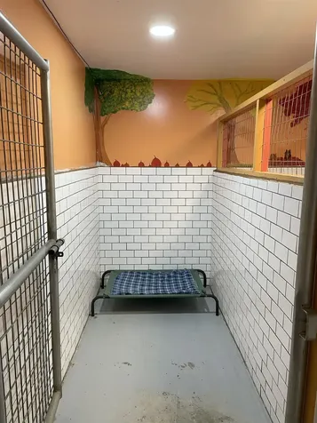 738 Lynburke Road Lyndon VT 05851