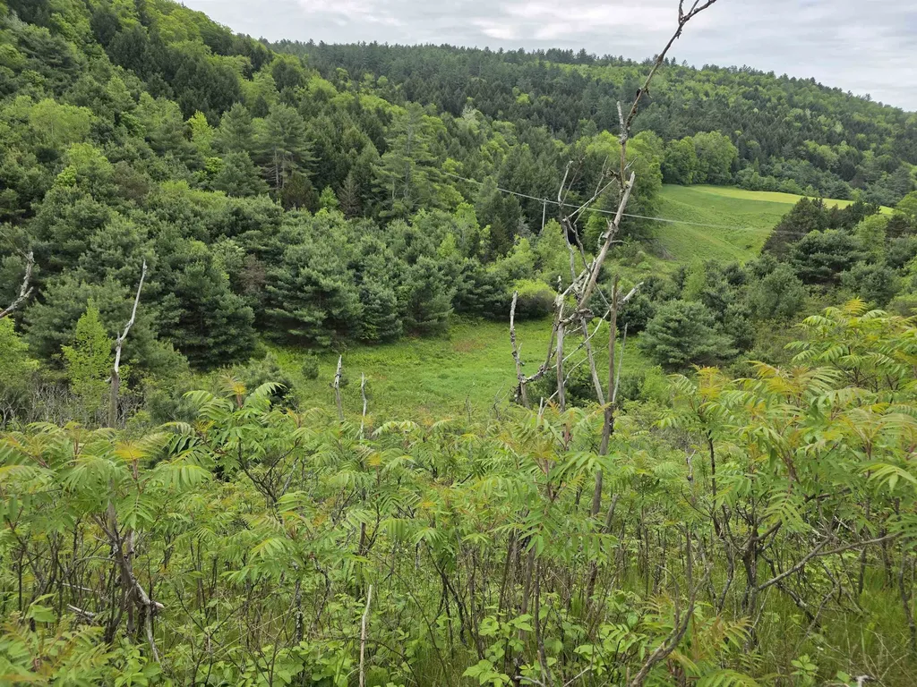 Vt Route 14 South Randolph VT 05060