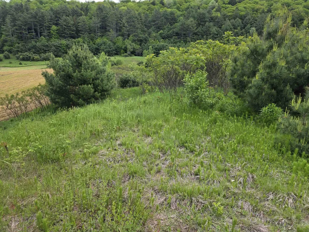 Vt Route 14 South Randolph VT 05060