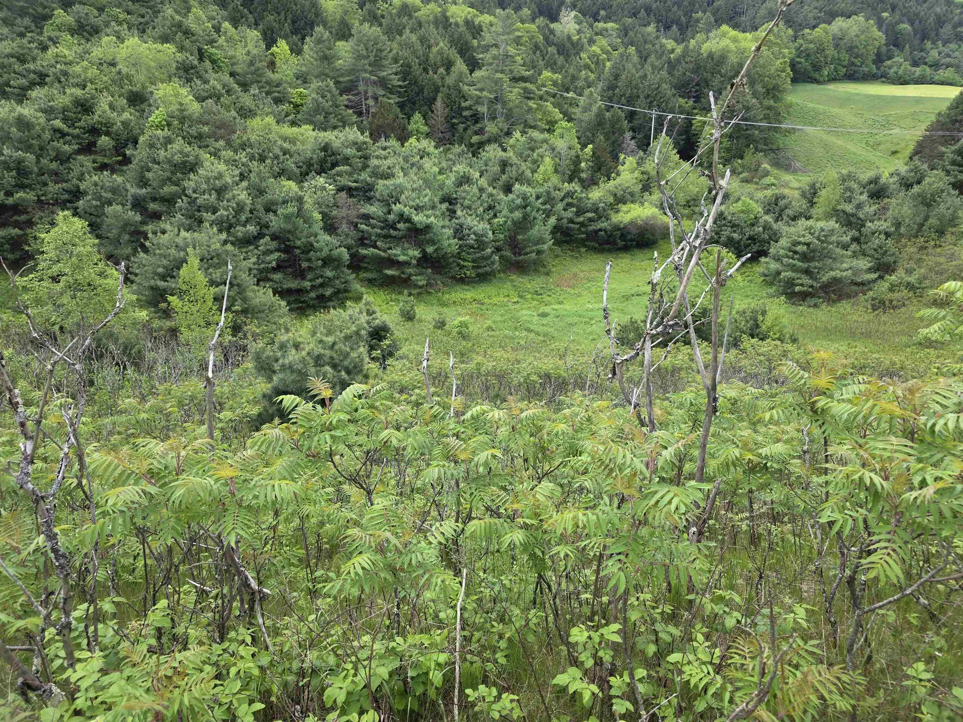 Vt Route 14 South Randolph VT 05060