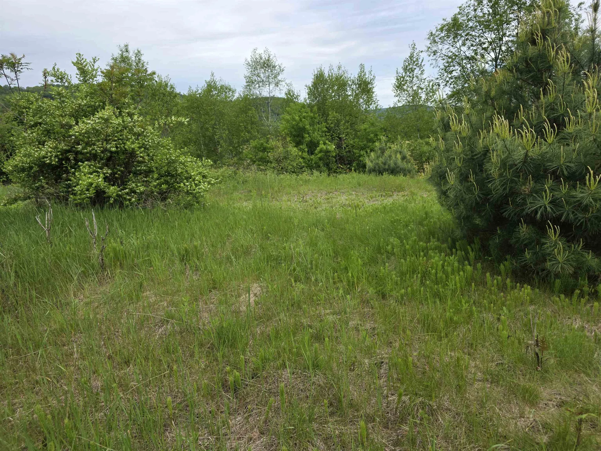 Vt Route 14 South Randolph VT 05060