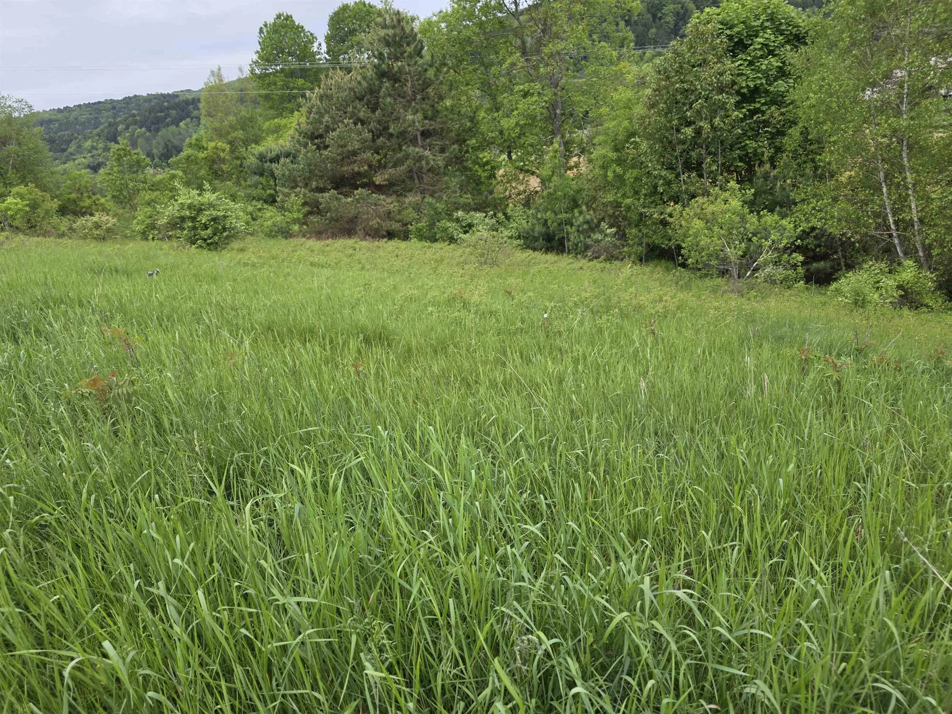 Vt Route 14 South Randolph VT 05060