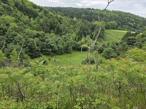 Vt Route 14 South Randolph VT 05060