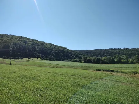 Vt Route 14 South Randolph VT 05060