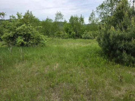 Vt Route 14 South Randolph VT 05060