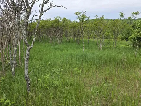 Vt Route 14 South Randolph VT 05060