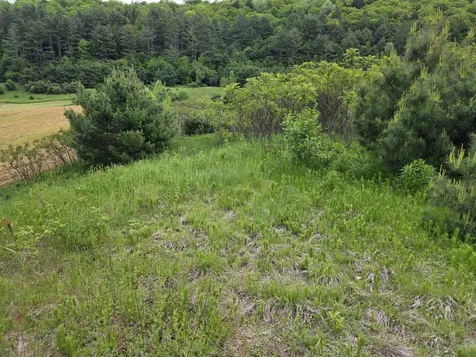 Vt Route 14 South Randolph VT 05060