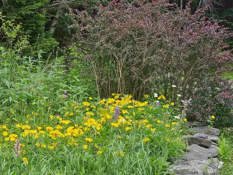 41 Top Of Hill Road Wilmington VT 05363