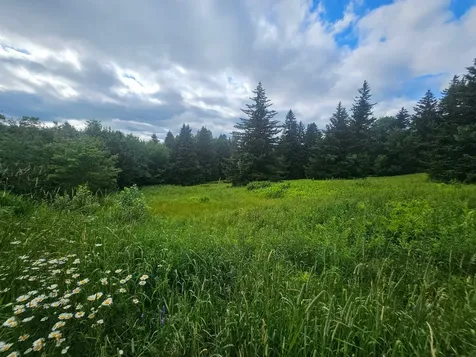41 Top Of Hill Road Wilmington VT 05363
