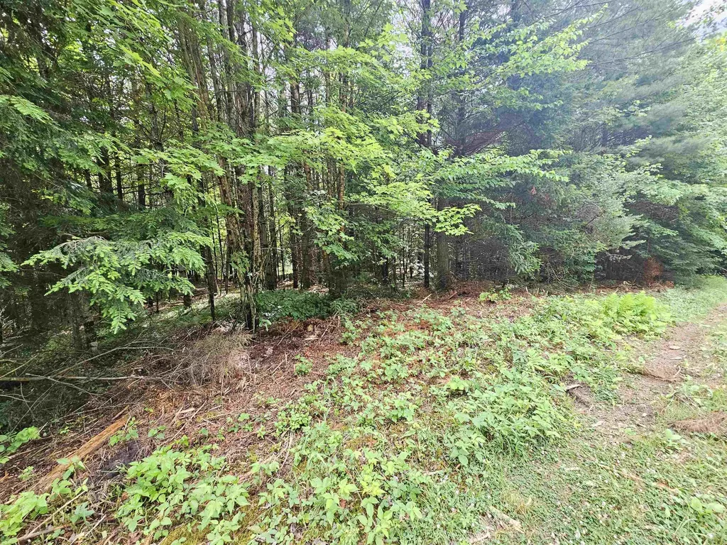 101 New Boston Road Lyndon VT 05851