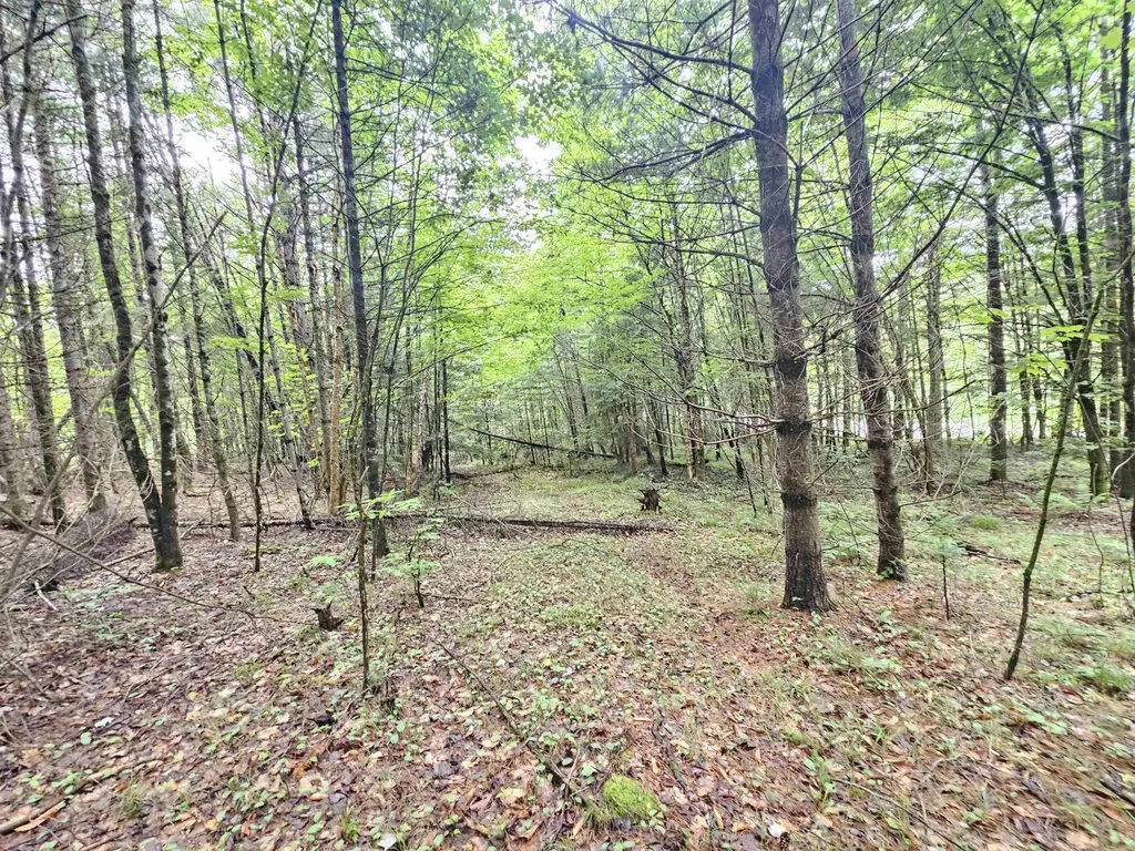 101 New Boston Road Lyndon VT 05851