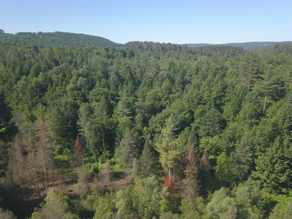 101 New Boston Road Lyndon VT 05851