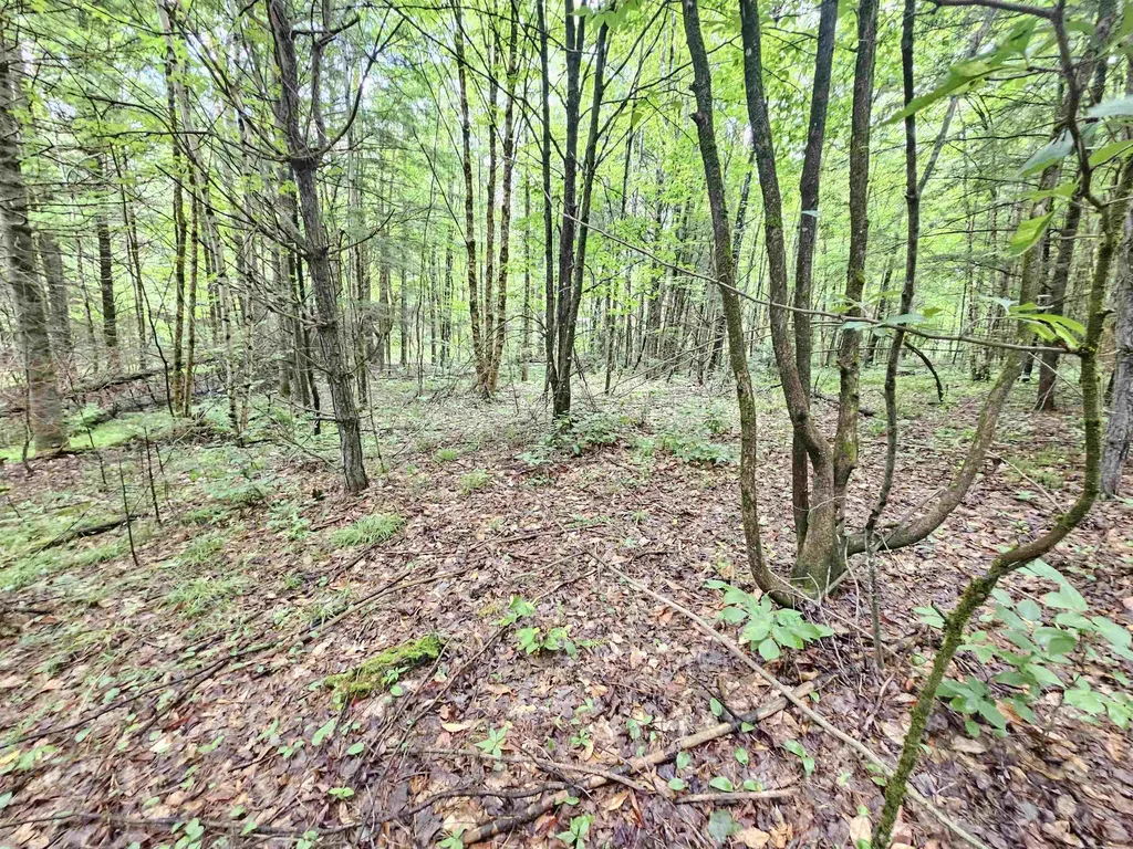 101 New Boston Road Lyndon VT 05851