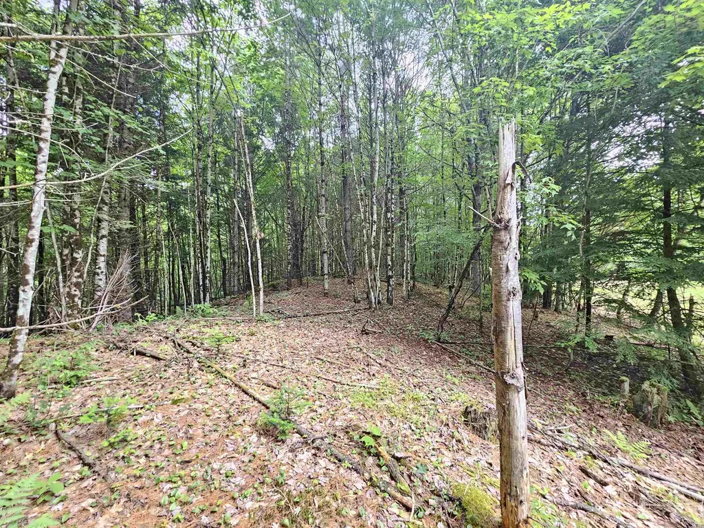 101 New Boston Road Lyndon VT 05851