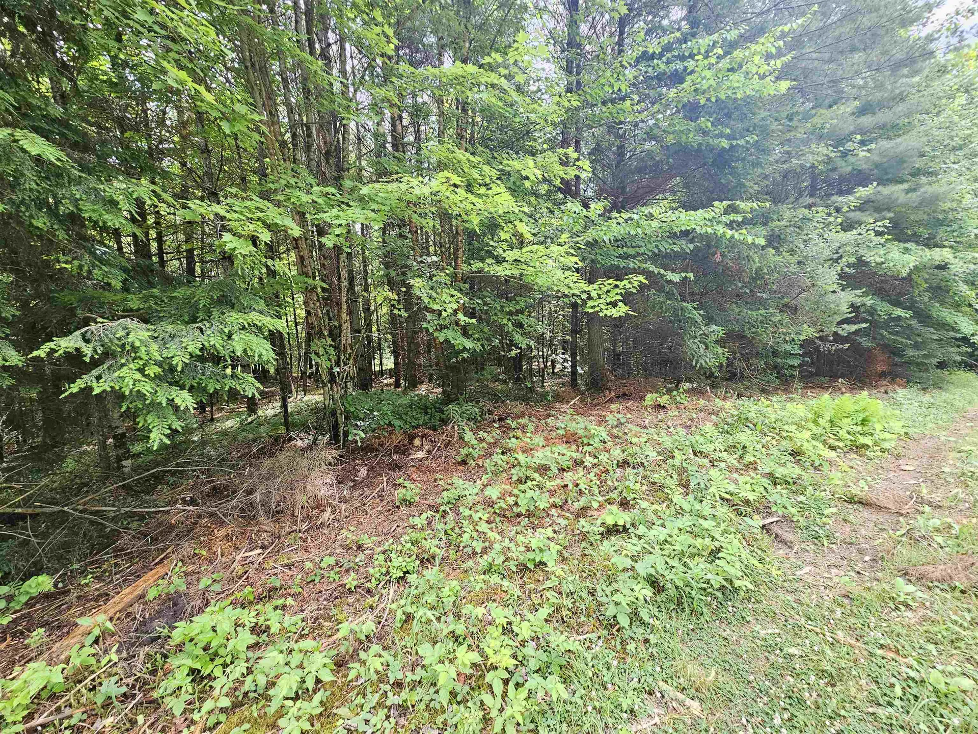 101 New Boston Road Lyndon VT 05851