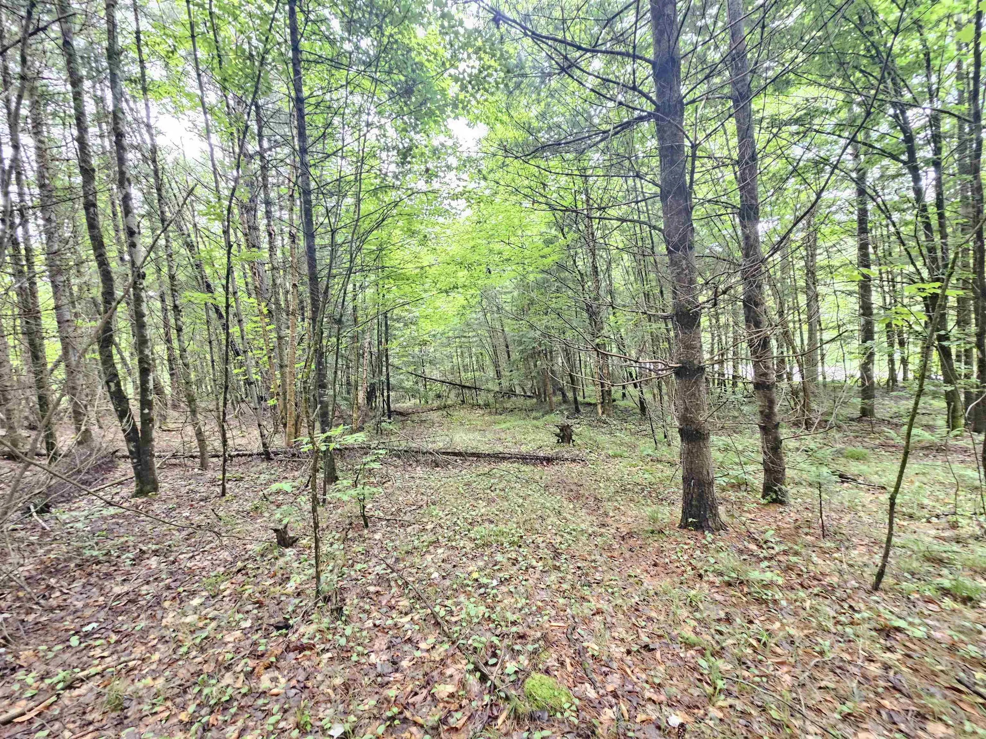 101 New Boston Road Lyndon VT 05851