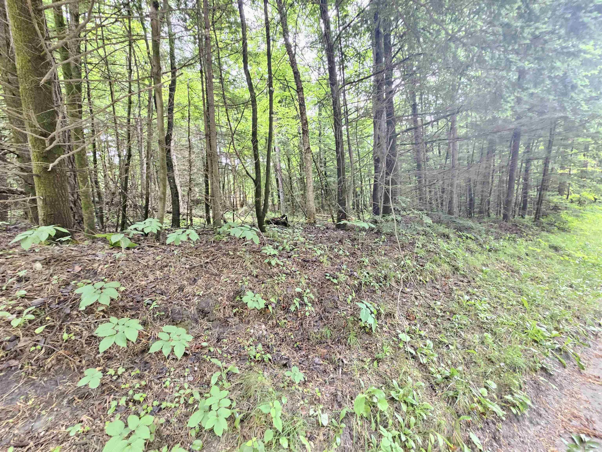 101 New Boston Road Lyndon VT 05851