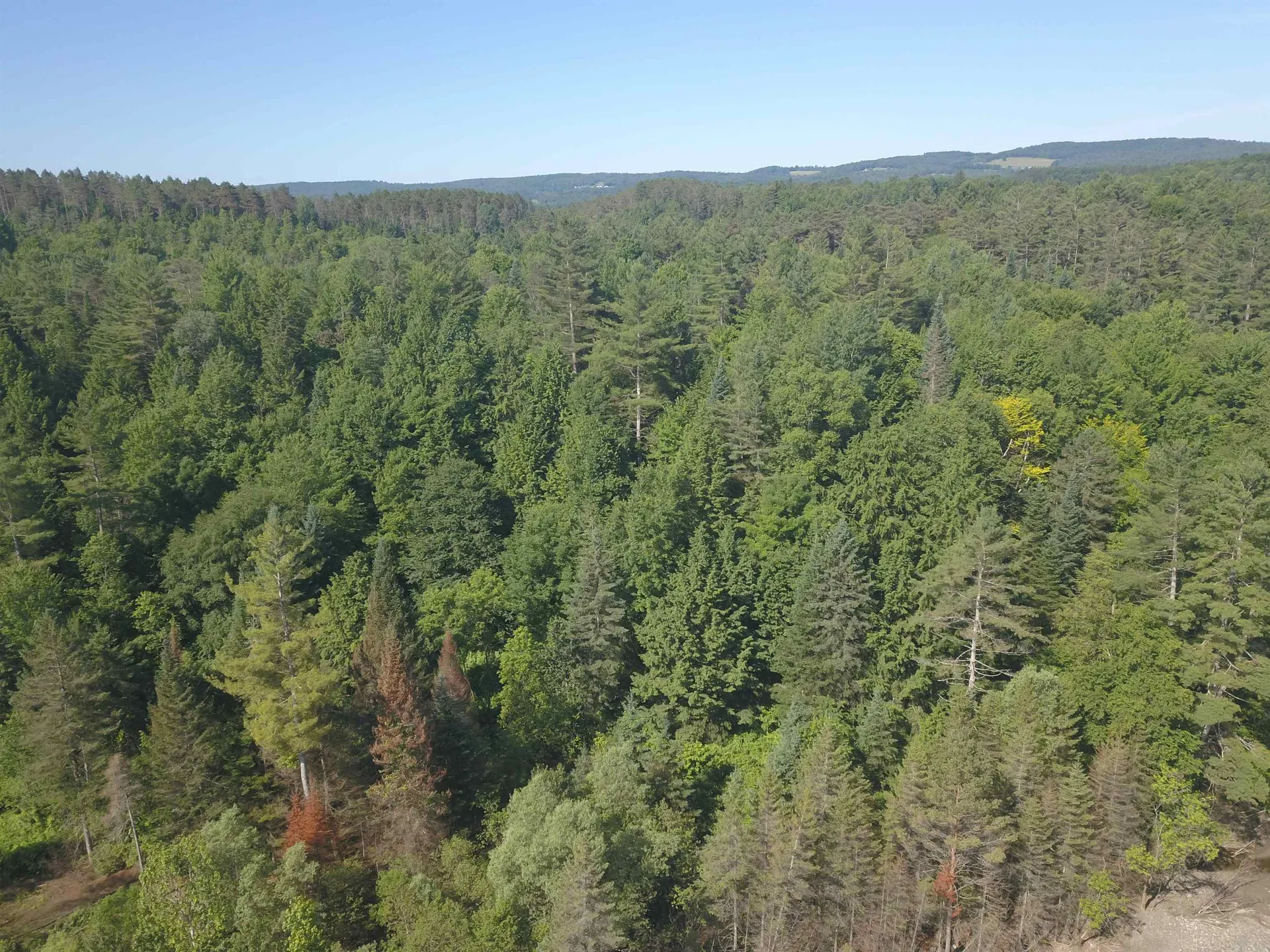 101 New Boston Road Lyndon VT 05851