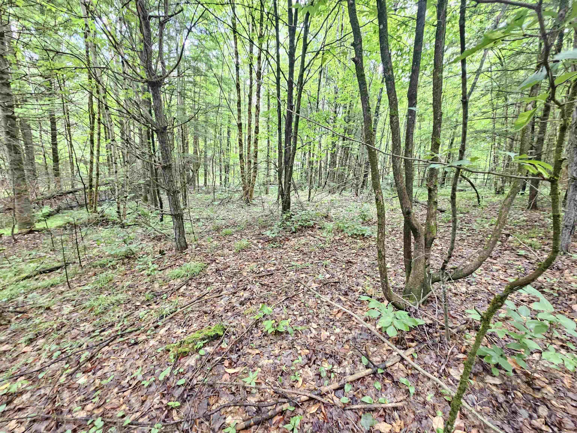 101 New Boston Road Lyndon VT 05851