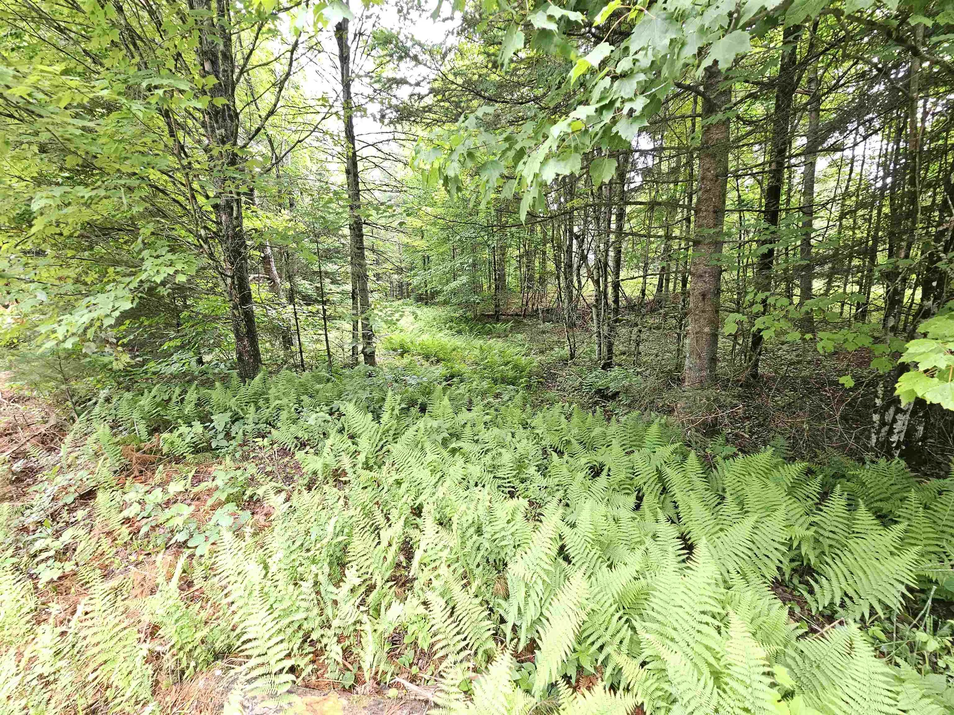 101 New Boston Road Lyndon VT 05851