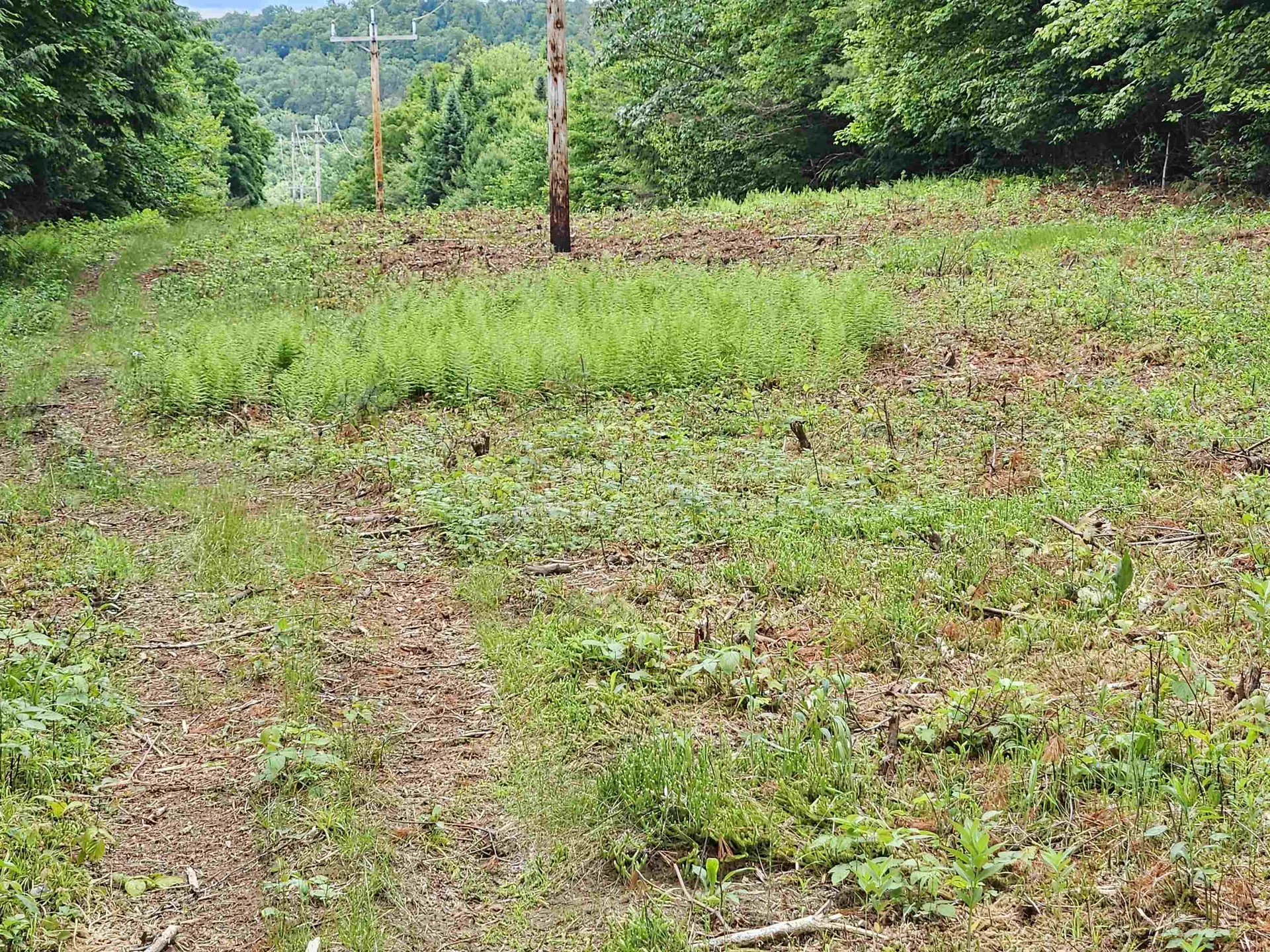 101 New Boston Road Lyndon VT 05851