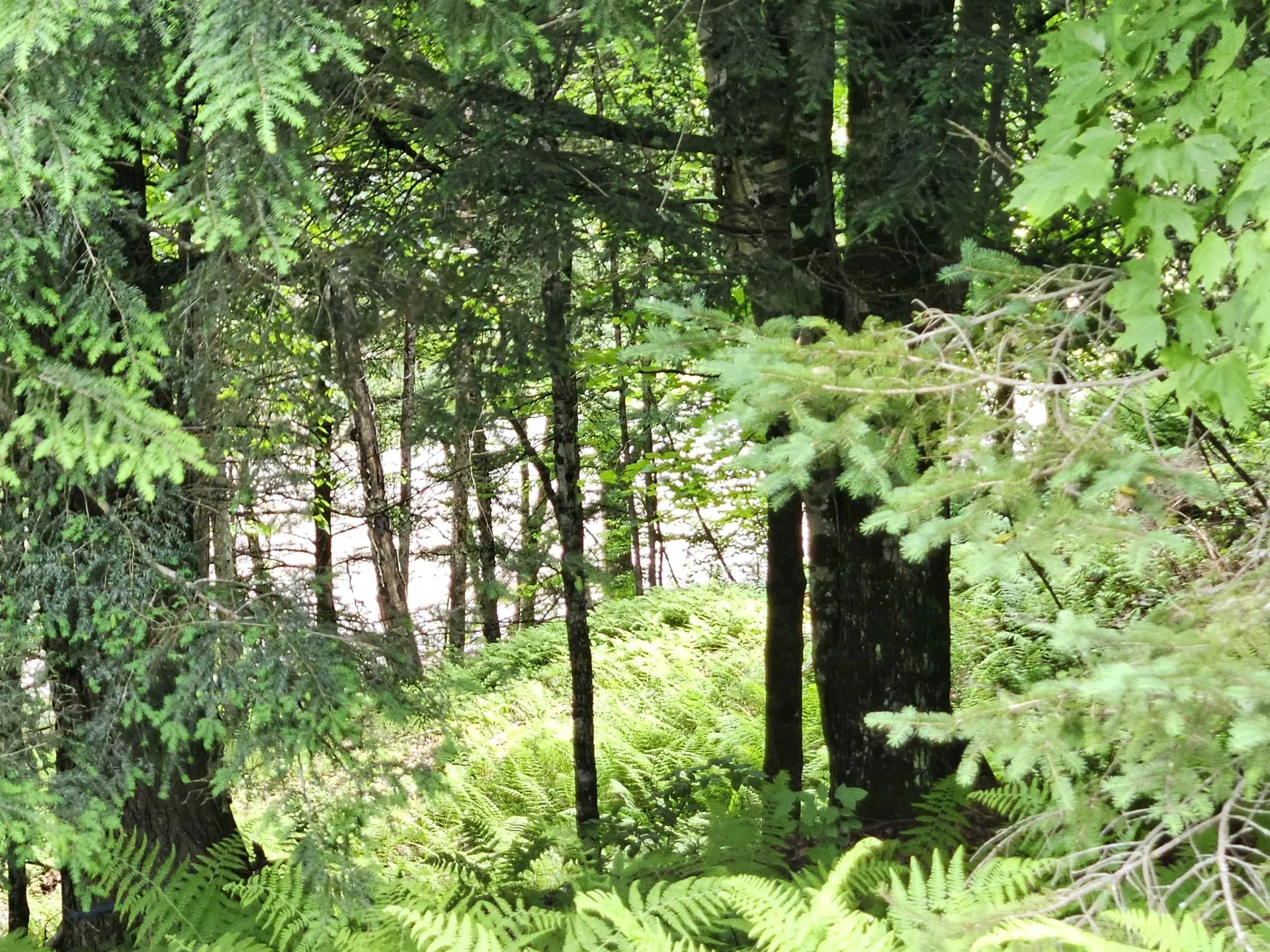 101 New Boston Road Lyndon VT 05851