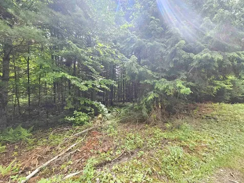 101 New Boston Road Lyndon VT 05851