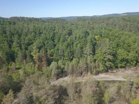 101 New Boston Road Lyndon VT 05851