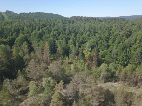 101 New Boston Road Lyndon VT 05851