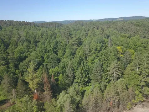 101 New Boston Road Lyndon VT 05851