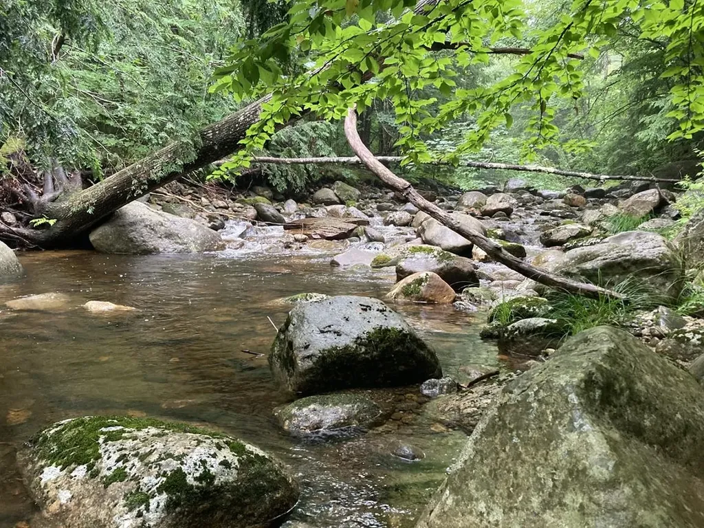 603 Washburn Road Alexandria NH 03222