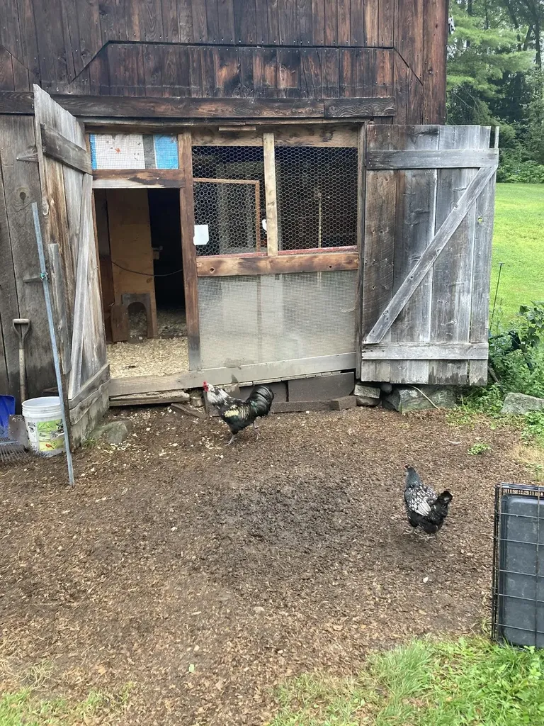 603 Washburn Road Alexandria NH 03222