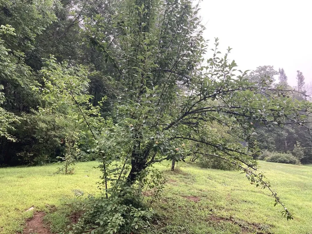 603 Washburn Road Alexandria NH 03222