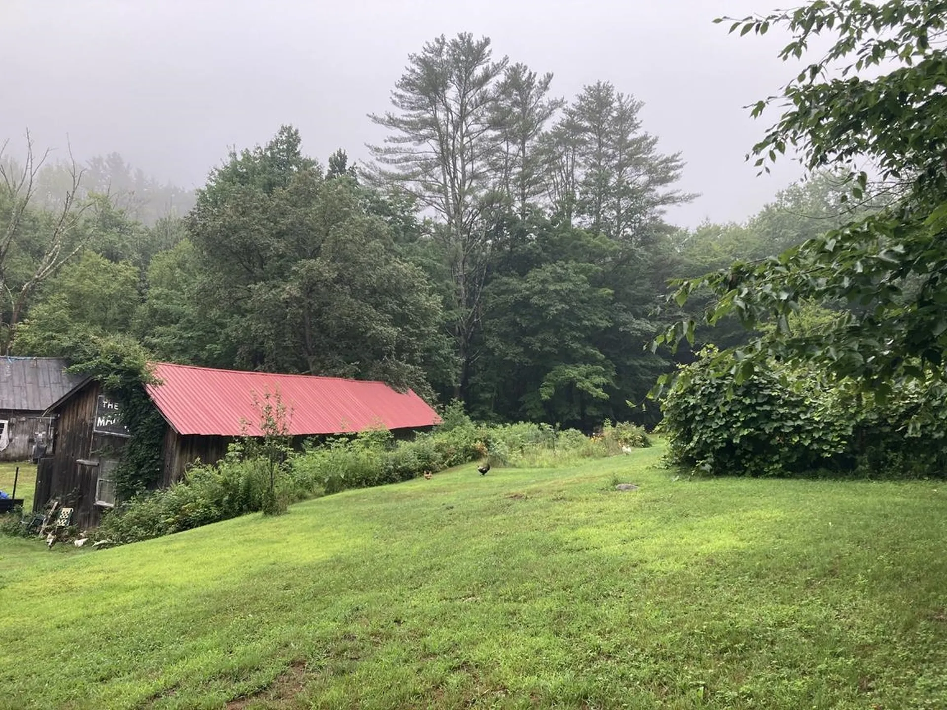 603 Washburn Road Alexandria NH 03222