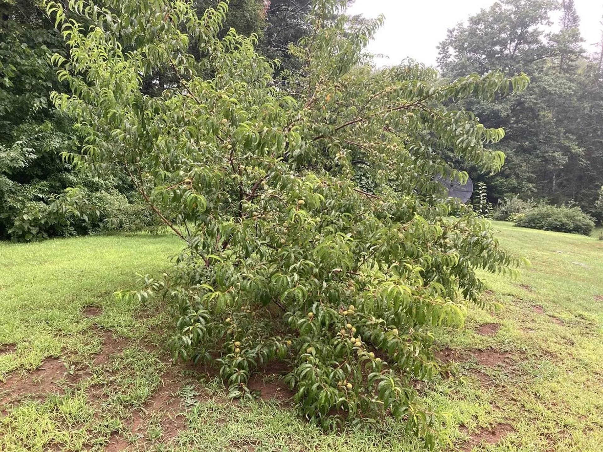 603 Washburn Road Alexandria NH 03222