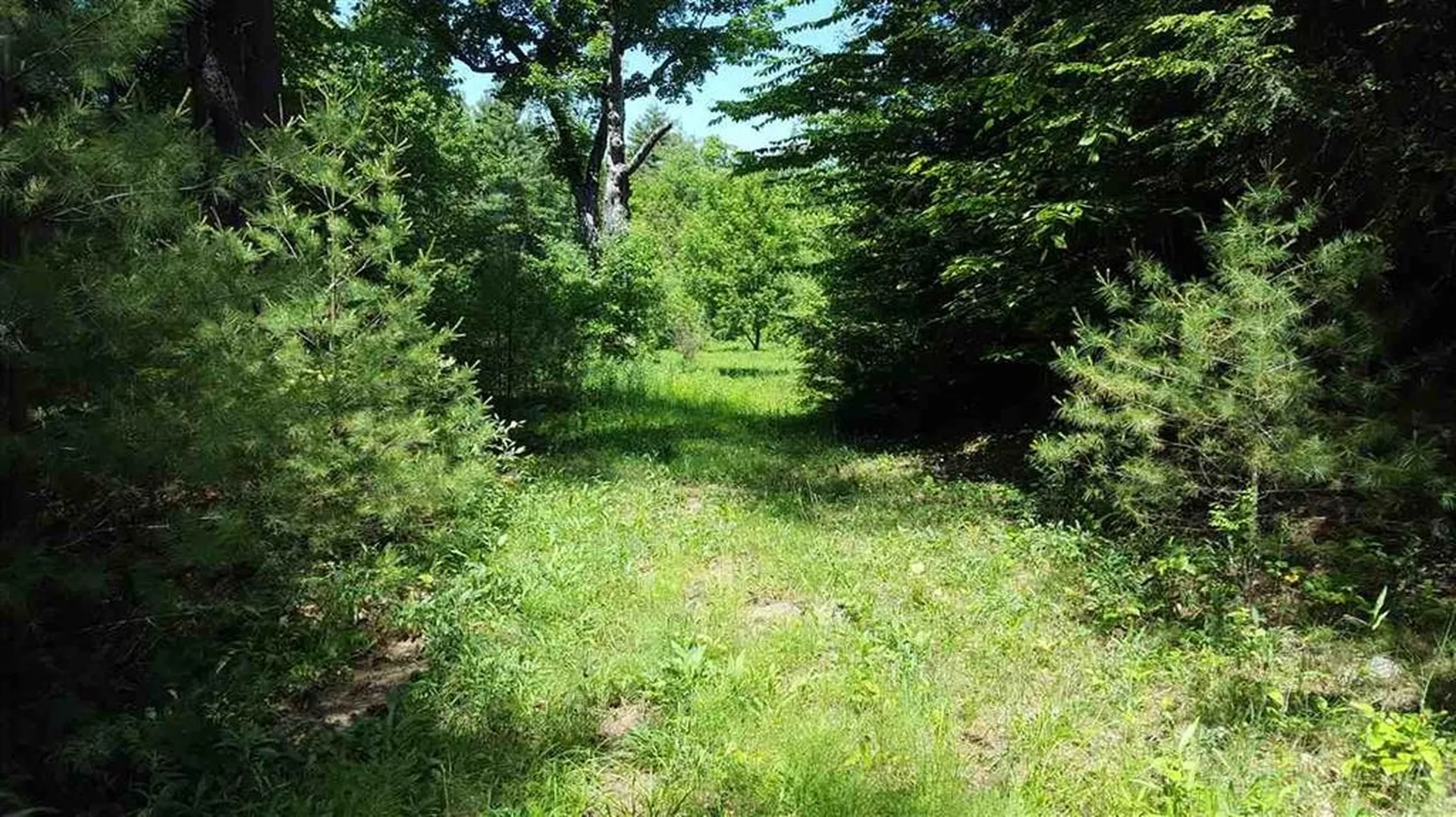 80 North Thetford Road Lyme NH 03768