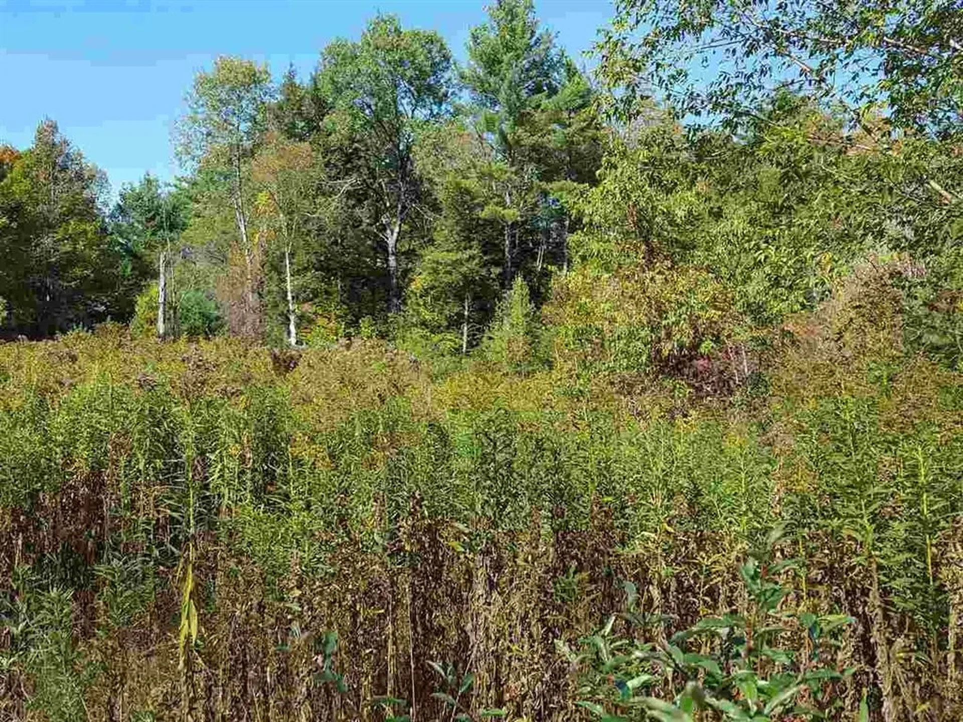 80 North Thetford Road Lyme NH 03768