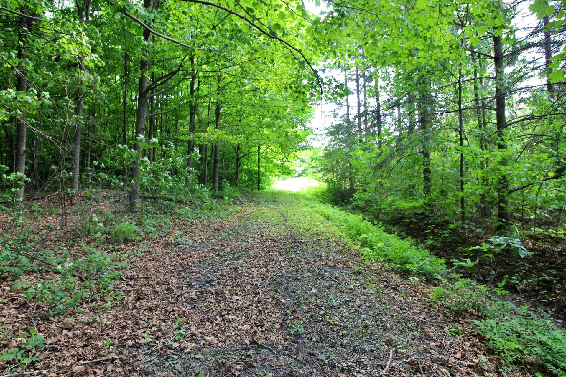 75 Gauthier Drive Swanton VT 05488