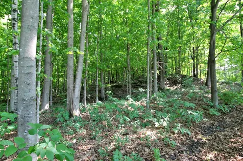 75 Gauthier Drive Swanton VT 05488