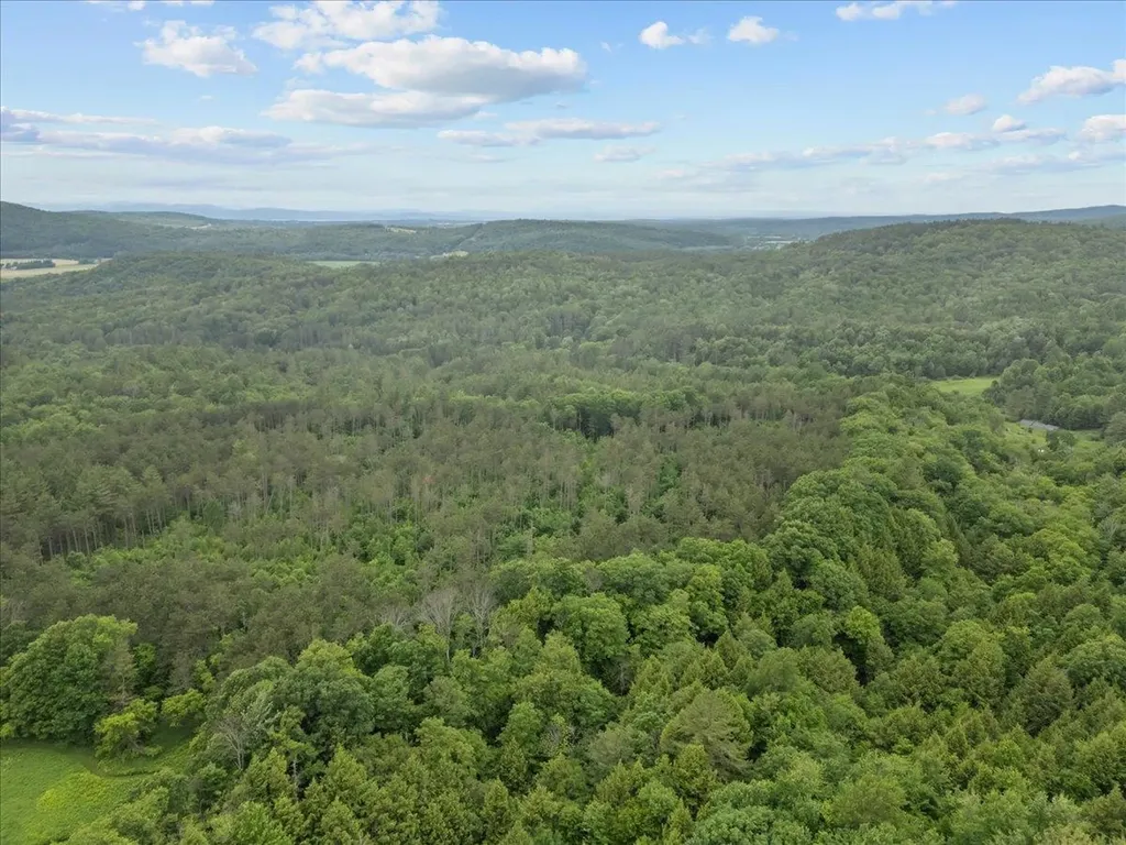 91 Governor Peck Road Jericho VT 05465