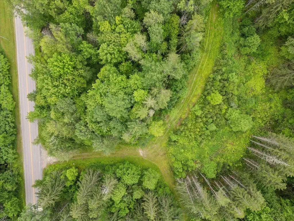 91 Governor Peck Road Jericho VT 05465