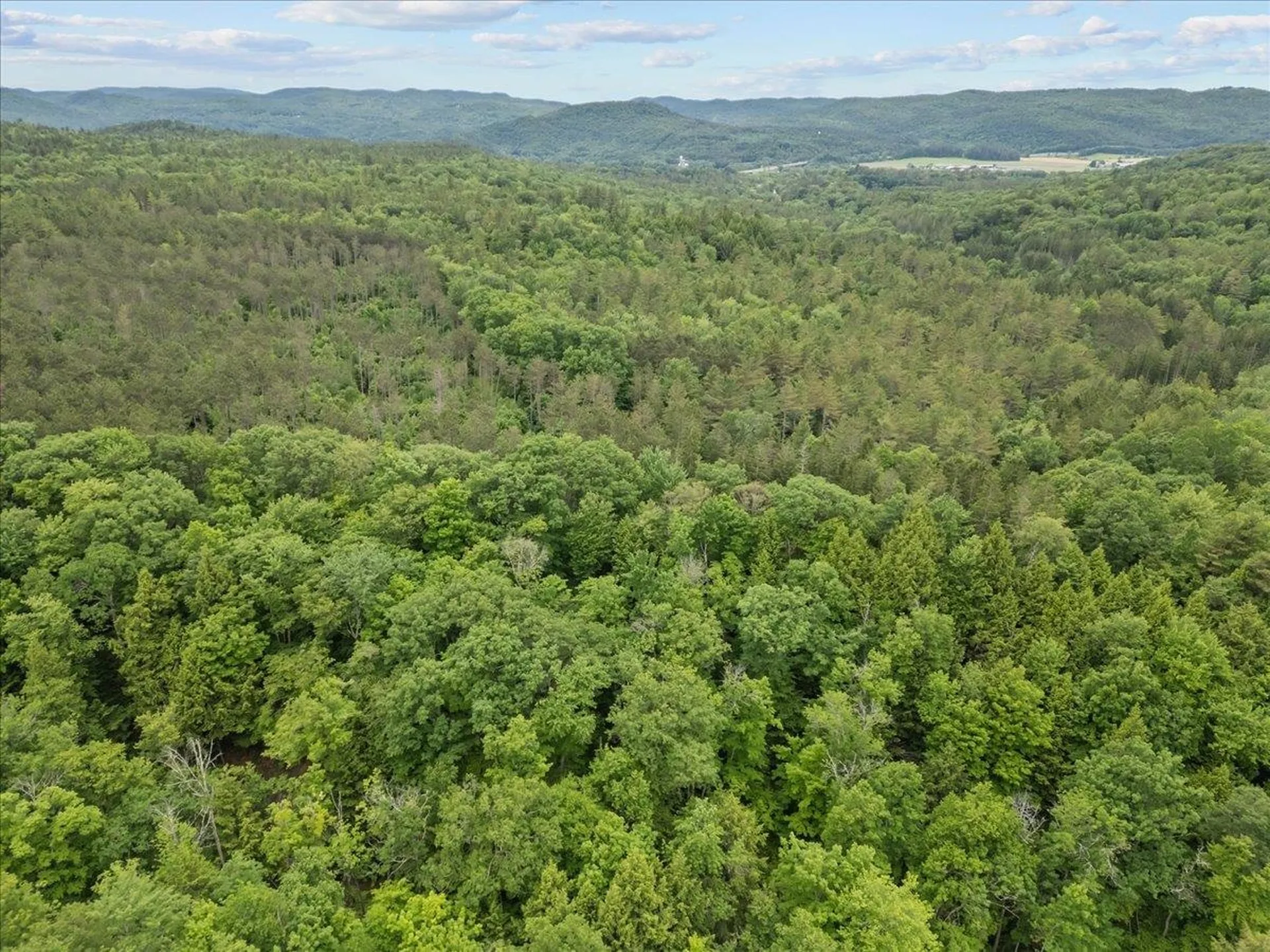 91 Governor Peck Road Jericho VT 05465