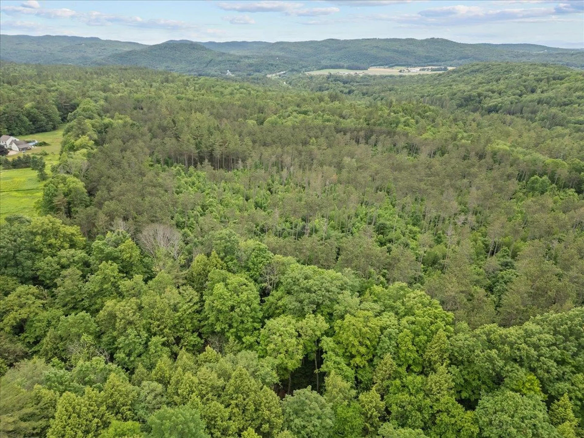 91 Governor Peck Road Jericho VT 05465