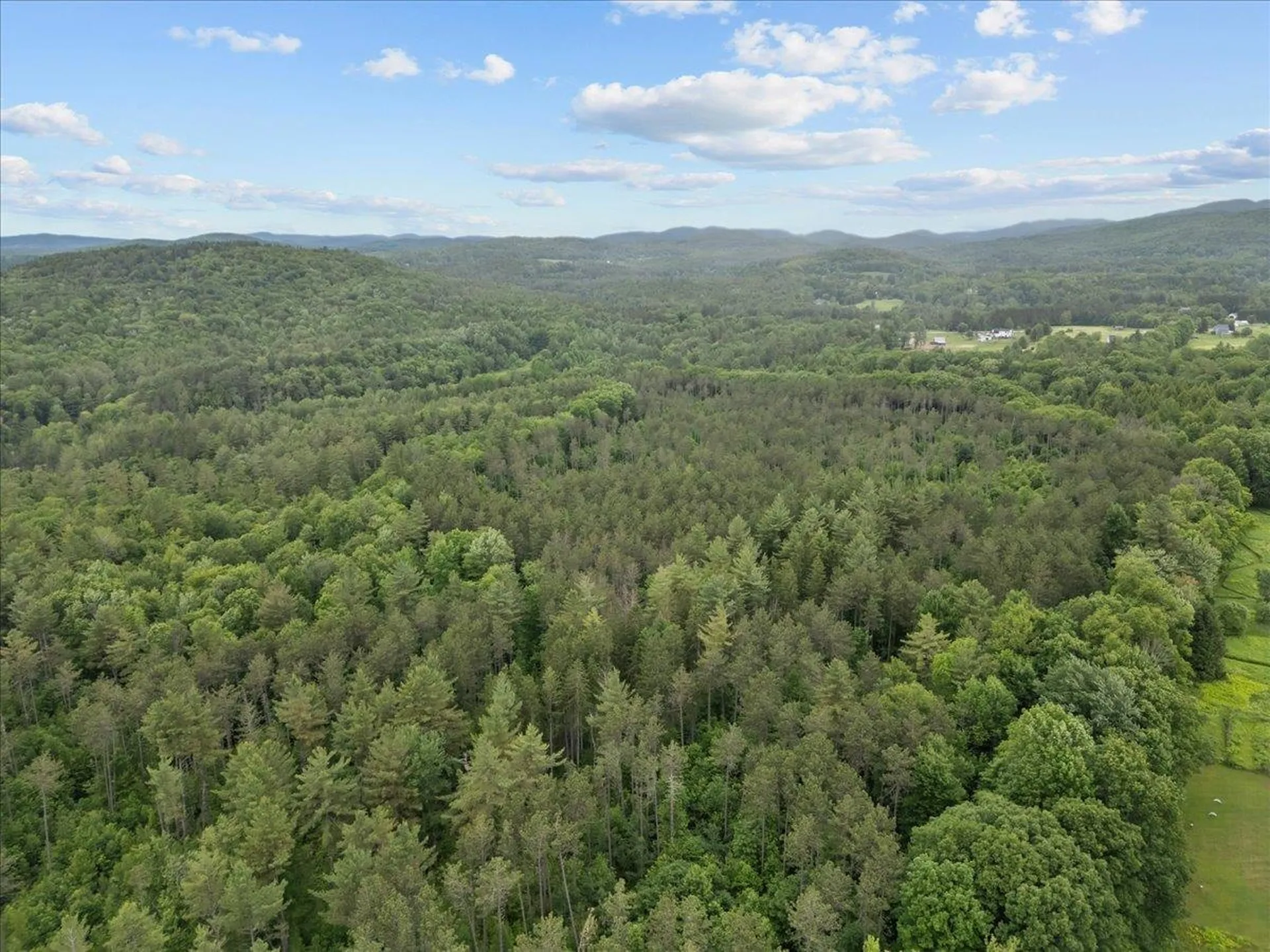 91 Governor Peck Road Jericho VT 05465